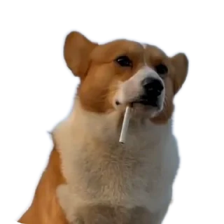 Sticker Нихуя себе технологии - 6