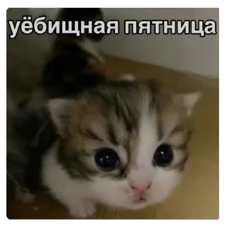 Стикер Нихуя себе - 9