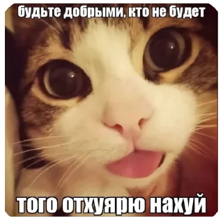 Стикер Нихуя себе - 11