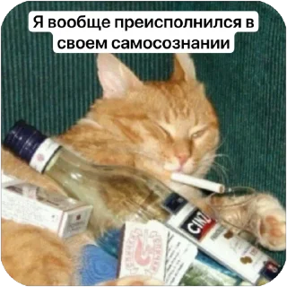 Стикер Нихуя себе - 3