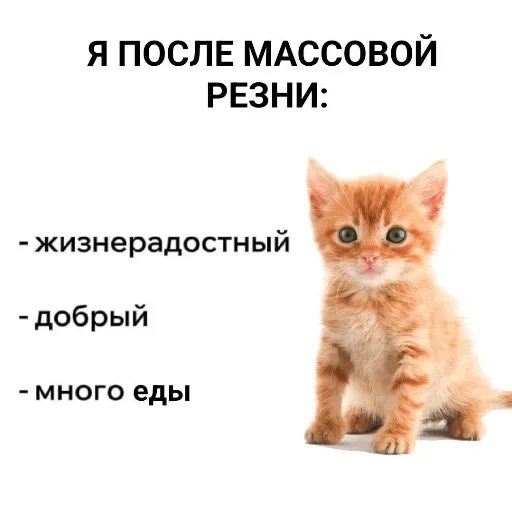 Sticker NikaLenin - 1