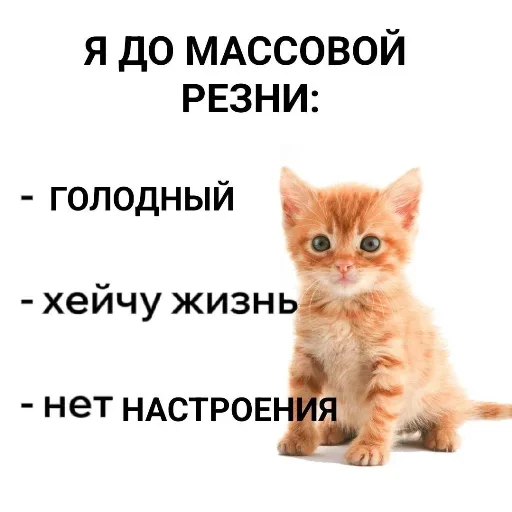 Стикер NikaLenin - 1