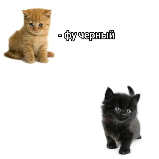 Sticker NikaLenin - 1