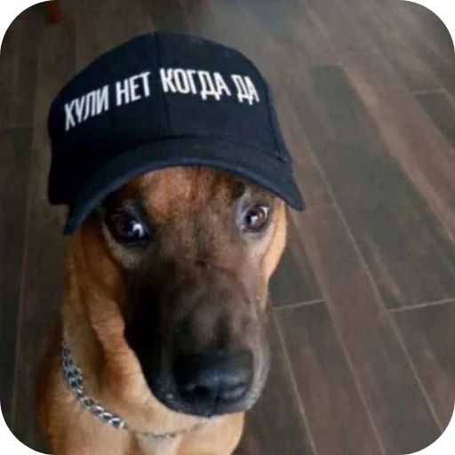 Sticker NikaLenin - 1