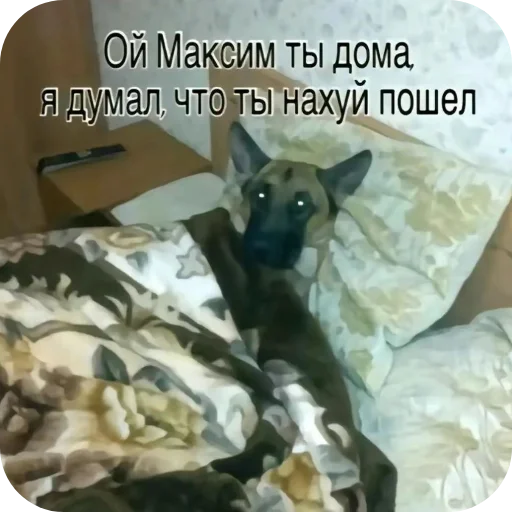 Sticker NikaLenin - 1