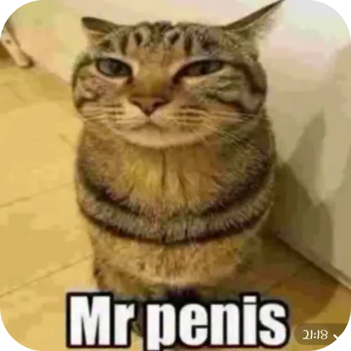 Ника Lenin @Necrophiliac_1 - 