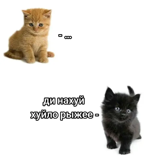 Sticker NikaLenin - 1