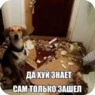 Стикер Ника Lenin @Necrophiliac_1 - 6