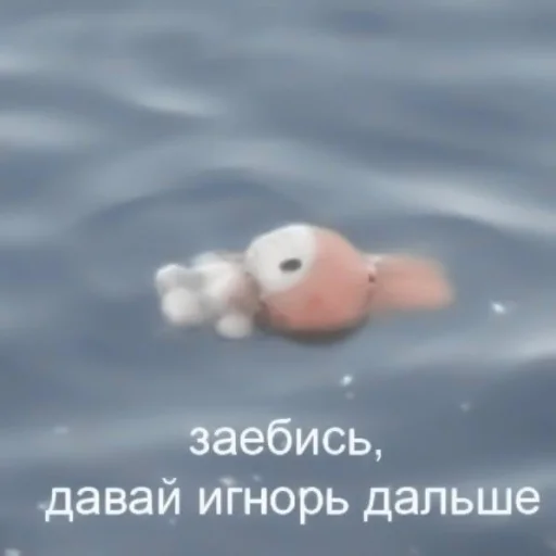 «Niᴋi – Enhyᴩᴇn ʙy:@kuromistickers» - 