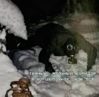 Sticker Никина шиза 😷 - 1