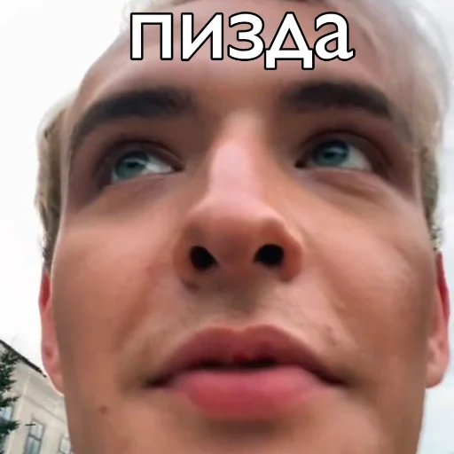 human face eyebrow person