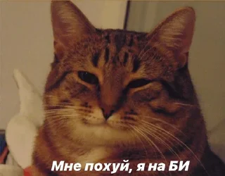 Стикер nikitaSS - 5