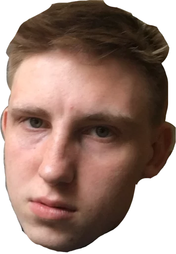 человеческое лицо лоб щека