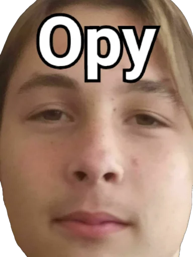 human face eyebrow forehead