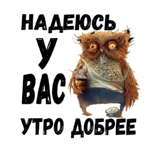 Sticker NikoVanek - 1