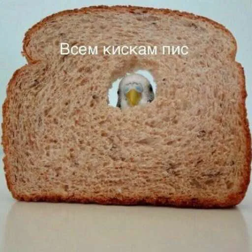 bread food baked goods