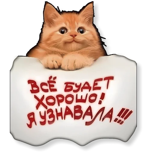 Стикер Ninaxp - 1