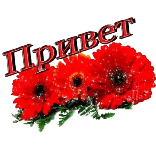 Sticker @nnikitina1  мои стикеры - 0