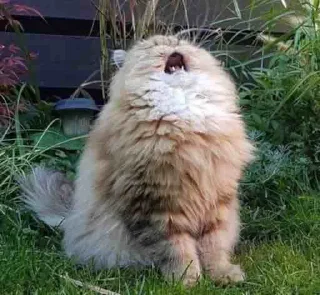 Sticker 9cinememes - 3