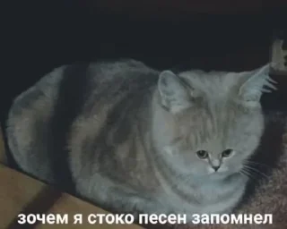 Sticker 9cinememes - 5