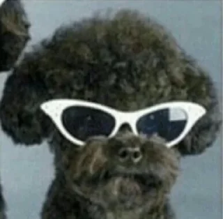 Sticker 9cinememes - 2