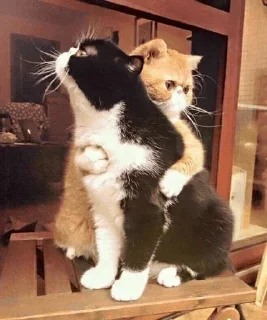 Стикер Nirvana: Hugs? - 9