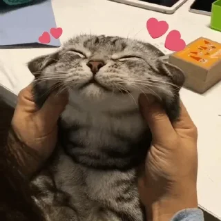 Стикер Nirvana: Hugs? - 3