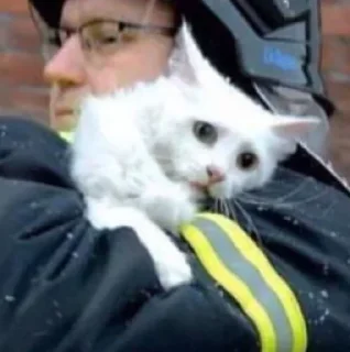 Стикер Nirvana: Hugs? - 6