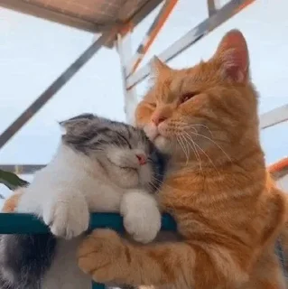 Стикер Nirvana: Hugs? - 4