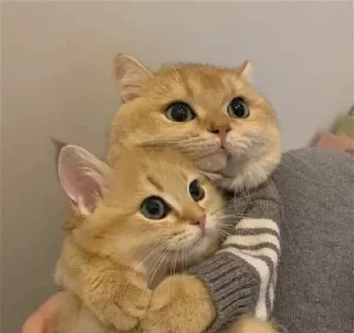 Стикер Nirvana: Hugs? - 10