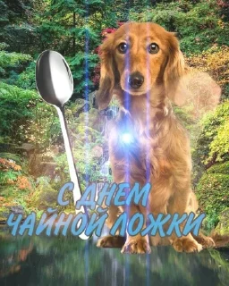 Стикер Больше стиков тут: @stikery4 - 0