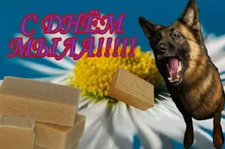 Стикер Больше стиков тут: @stikery4 - 3