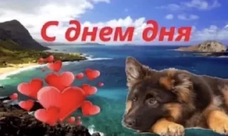 Стикер Больше стиков тут: @stikery4 - 8