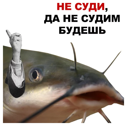 Sticker Безмозглые @eeZee_stickers - 1
