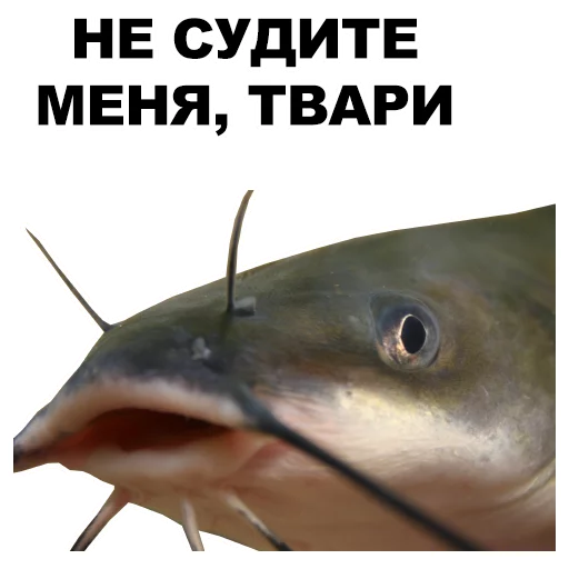 Sticker Безмозглые @eeZee_stickers - 0