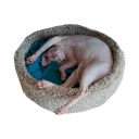 Sticker NoHairCats - 10