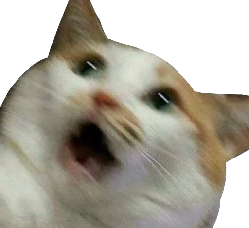 Regretti Spaghetti - животное