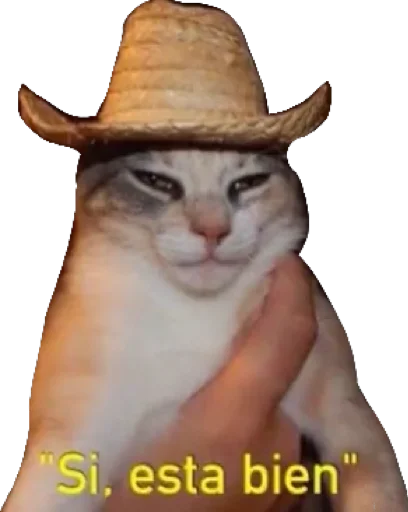 cat sun hat small to medium-sized cats