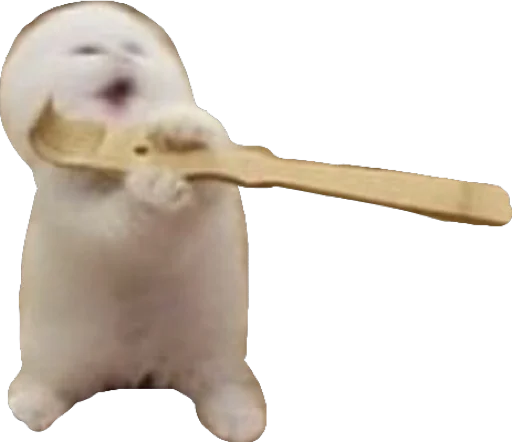 tableware spoon indoor