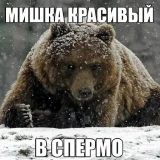 млекопитающее животное СМС