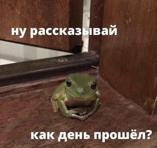 Sticker Все сани должный сосать хуй :: @fStikBot - 3