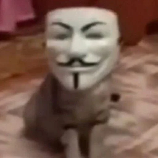 Sticker Все сани должный сосать хуй :: @fStikBot - 2