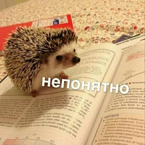 животное млекопитающее СМС