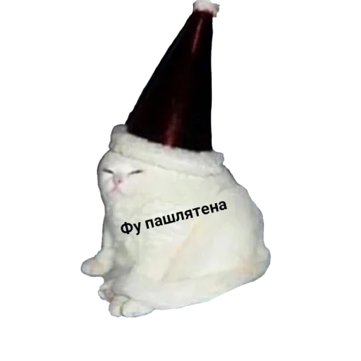 кошка Белый