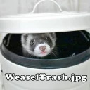 Sticker WeaselTrash - 11