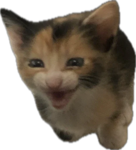 Ну что ты, Нора? @SozdaiStickeriBot - 