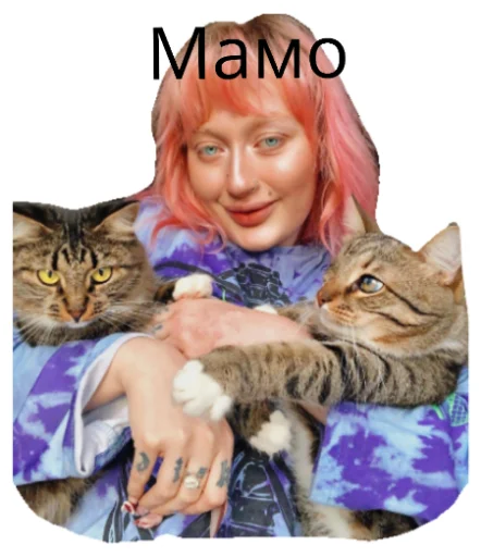 млекопитающее животное кошачьи