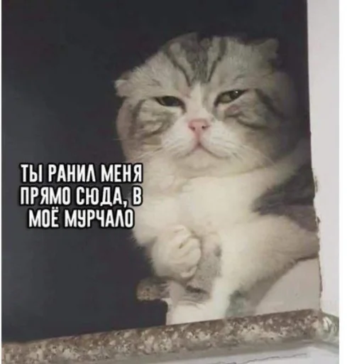 Галя в сердце краш - 