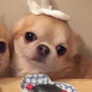 Sticker Галя в сердце краш - 6