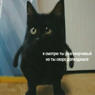 Sticker Галя в сердце краш - 5